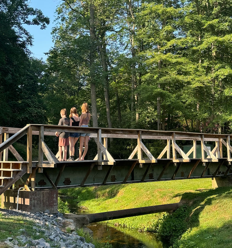 Three people stand on a wooden bridge surrounded by lush greenery and tall trees, enjoying a sunny day and a peaceful, natural setting.